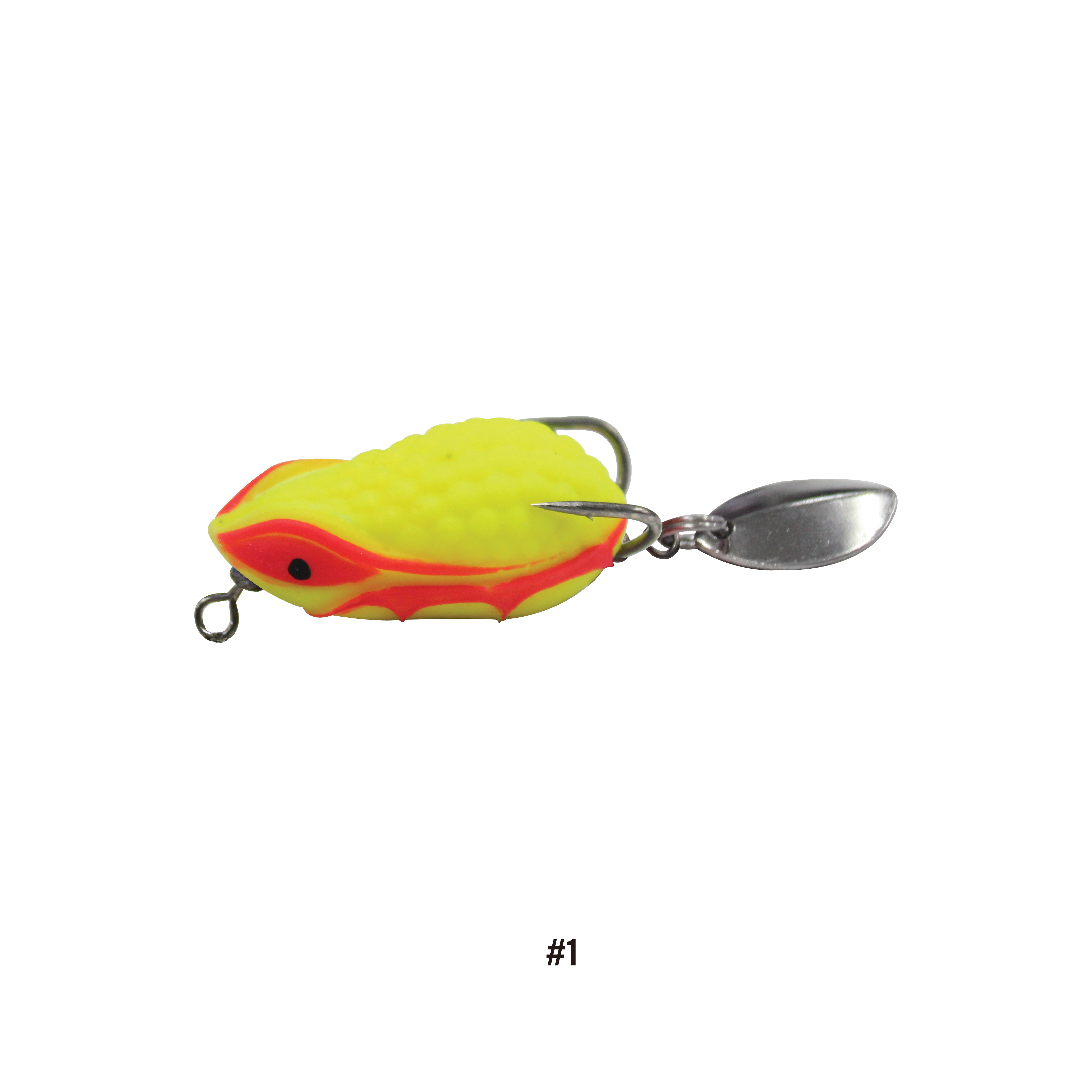 Asuka Tuk Tuk Thailand Cricket Frog TCK-002 | Asuka 