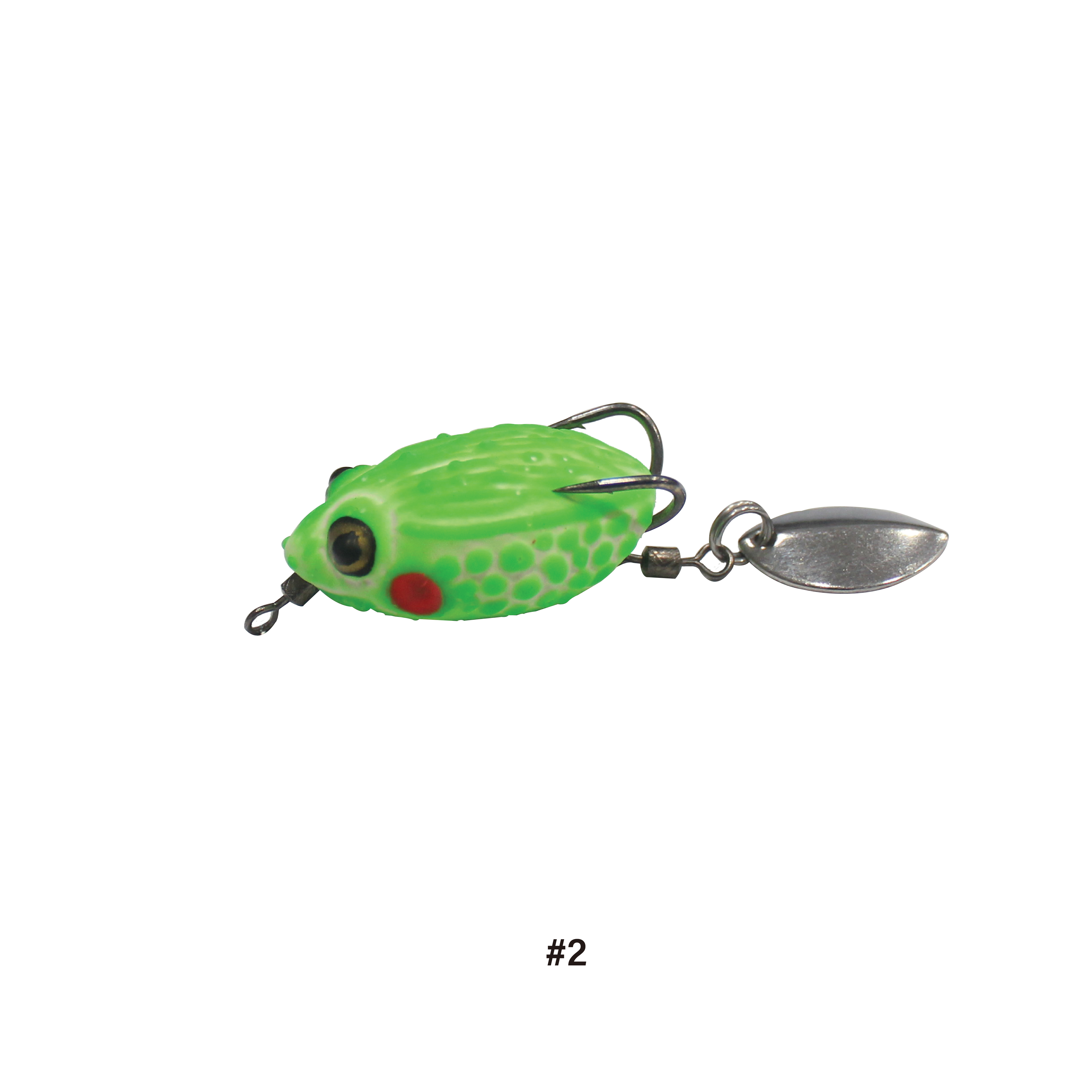 Asuka Thailand Khapra Frog TKP-009 | Asuka 