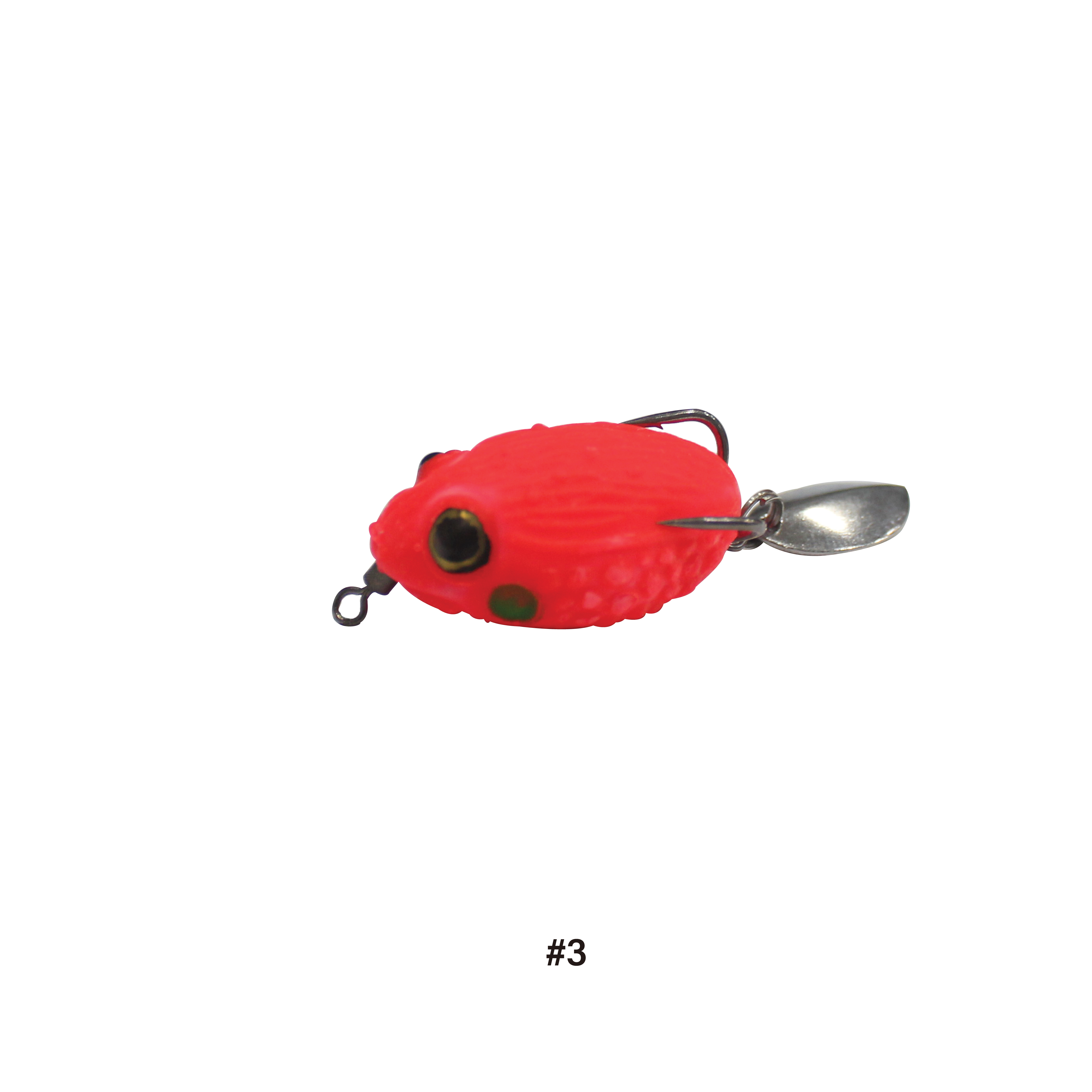 Asuka Thailand Khapra Frog TKP-009 | Asuka 