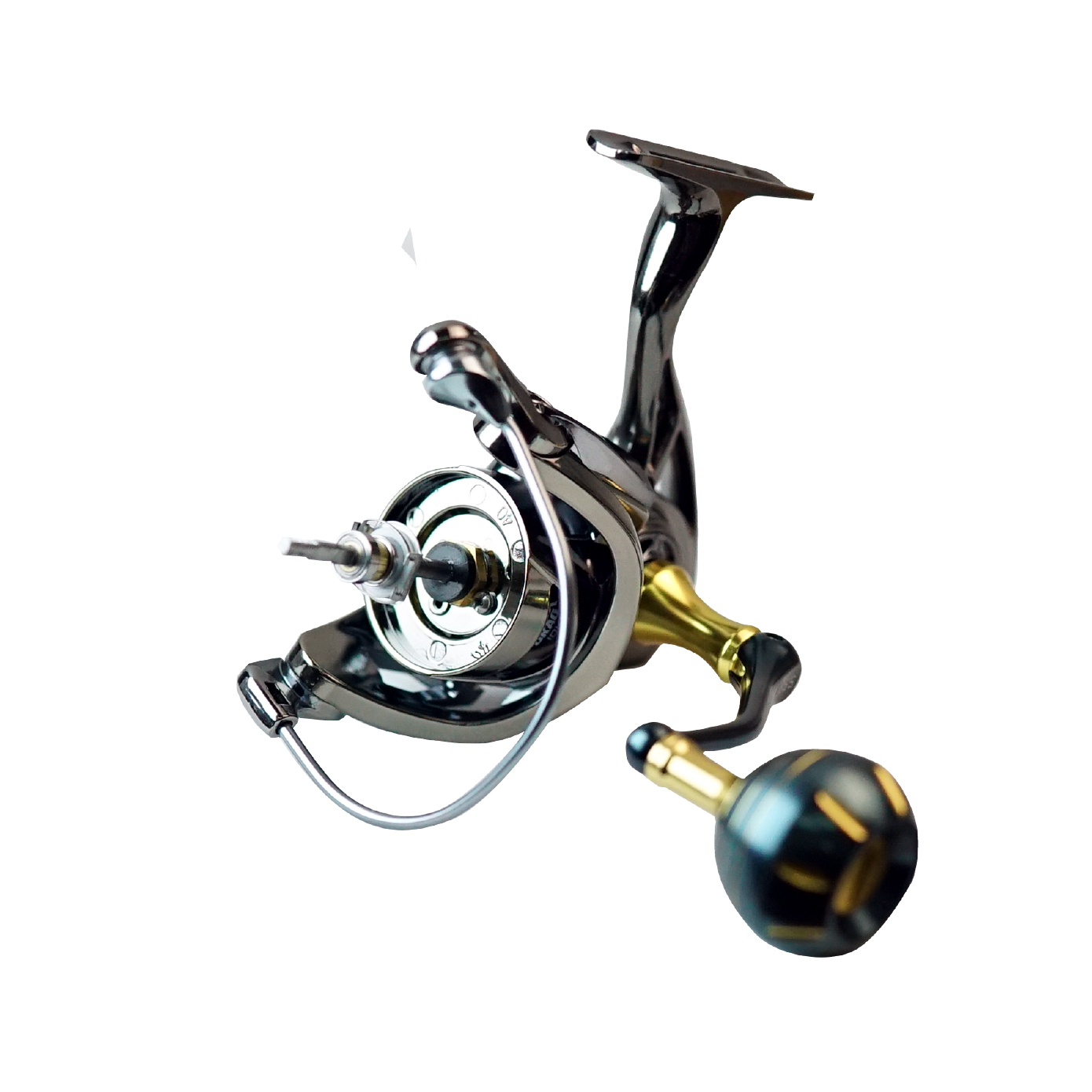 Asuka Salteez | Asuka 