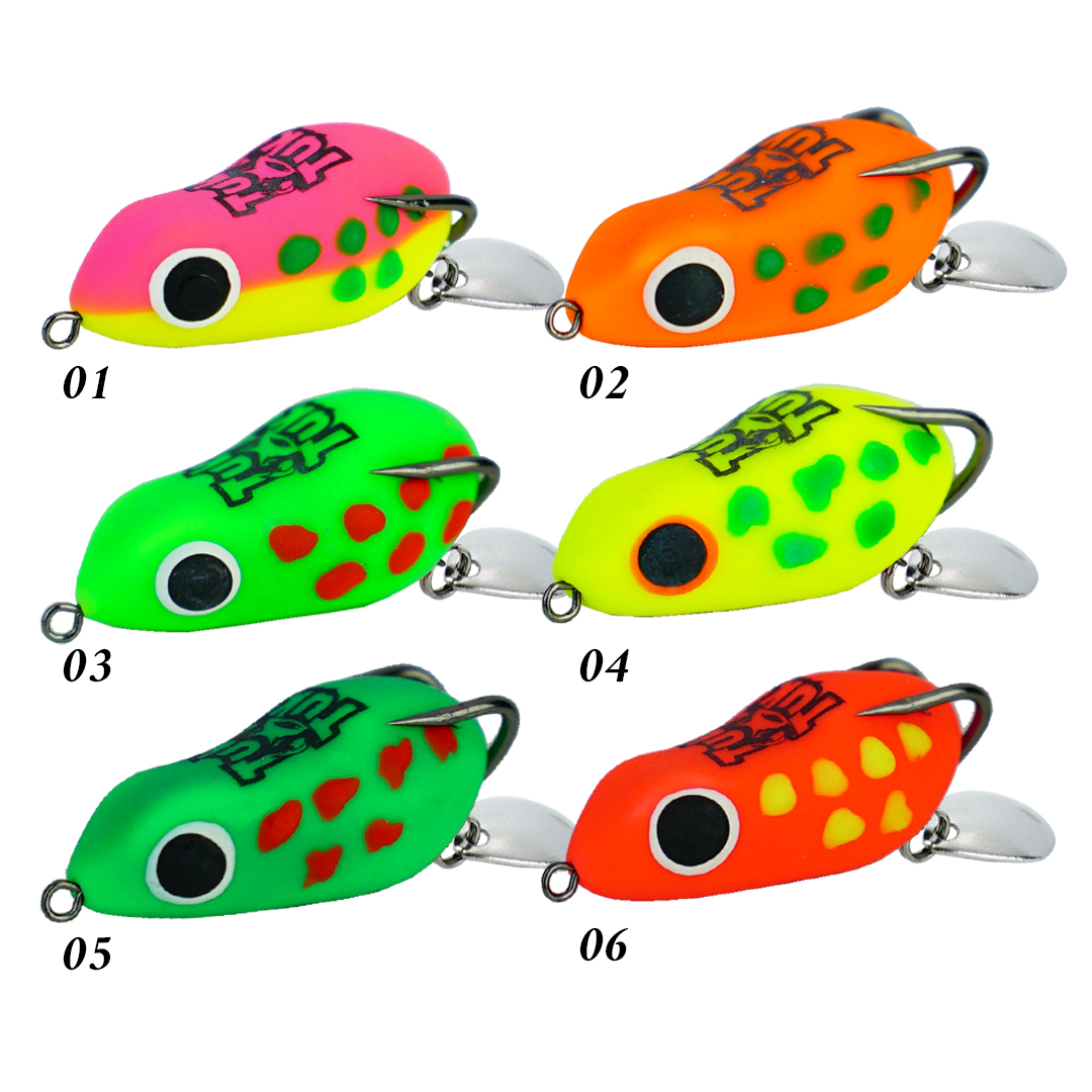 Asuka TukTuk Thailand Turtle Frog TT-11 | Asuka 